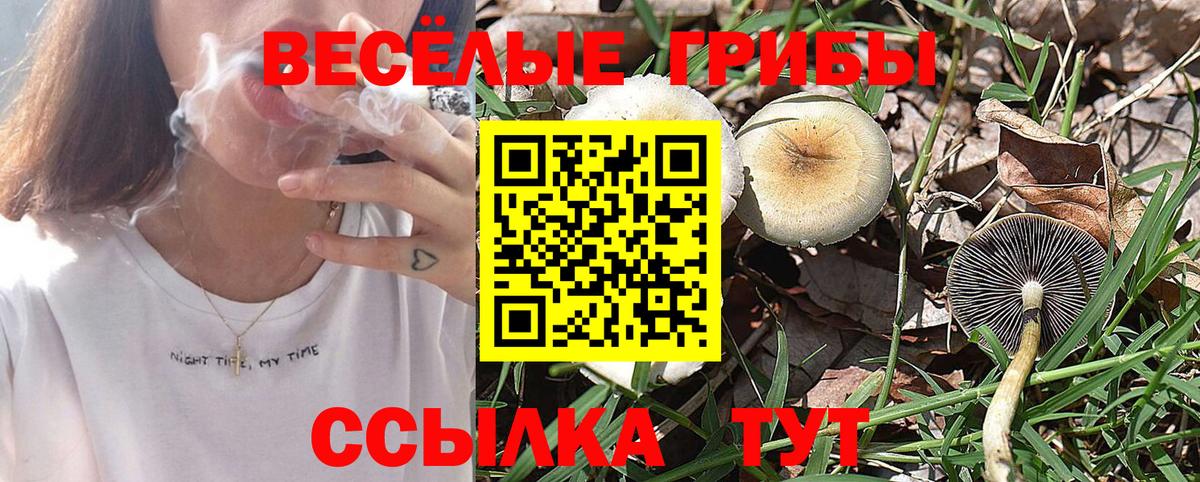 Галлюциногенные грибы ЛСД  Галлюциногенные грибы Psilocybe  Вход с VPN  Родники 