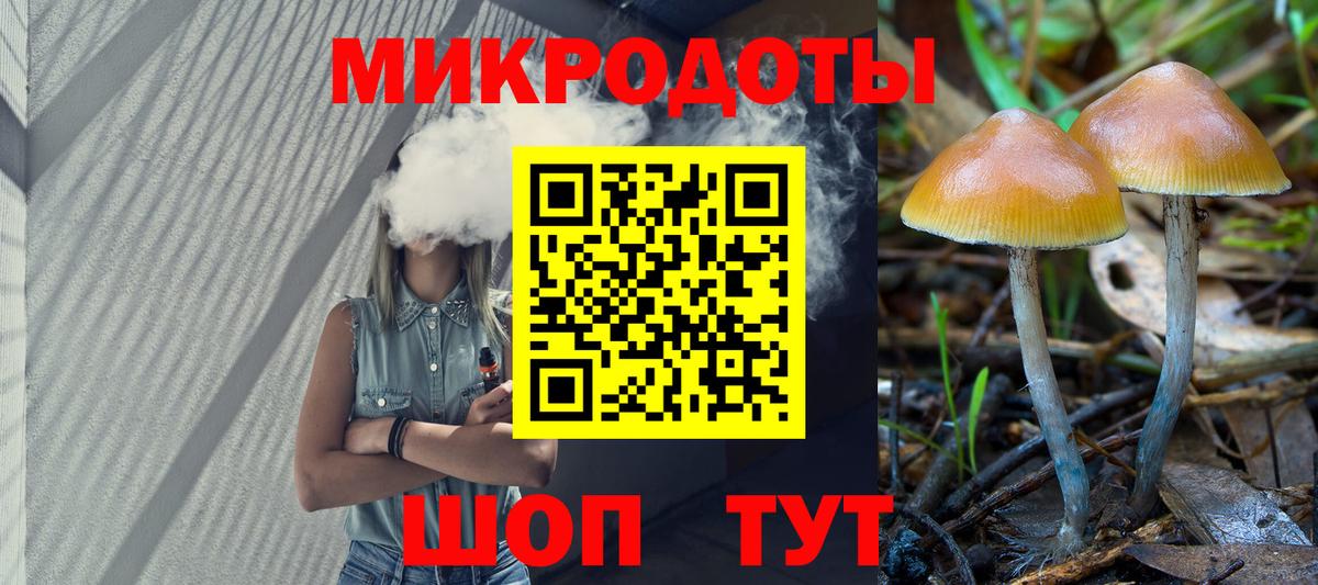Псилоцибиновые грибы MAGIC MUSHROOMS Родники