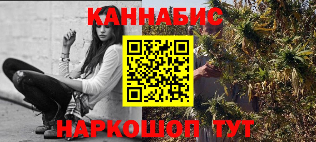 Бошки марихуана тримм  Вход с VPN  Бошки марихуана семена  Бошки марихуана семена  Родники 
